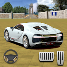 模拟赛车停车大师 v1.0