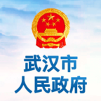 武汉市人民政府政务客户端 v0.0.1